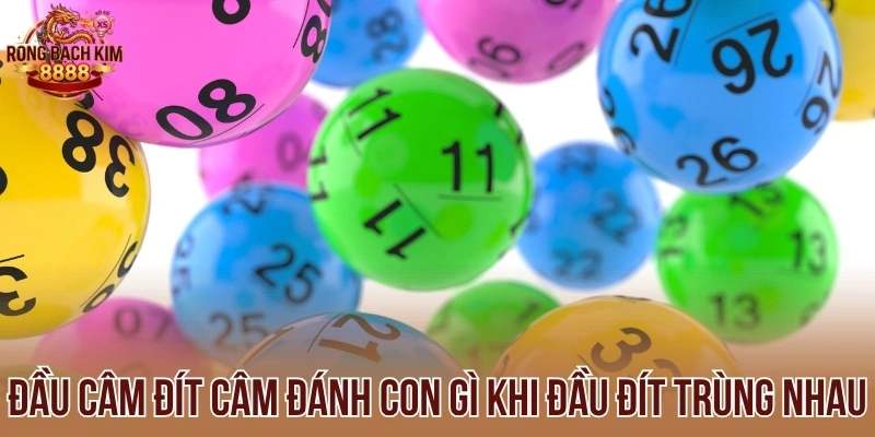 Đầu câm đít câm đánh con gì khi đầu đít trùng nhau