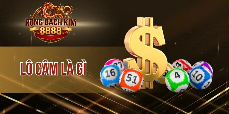 Lô Câm Là Gì – Khái Niệm Và Cách Nhận Biết Trong Thực Tế