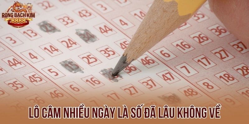 Lưu ý khi theo dõi lô lâu không về