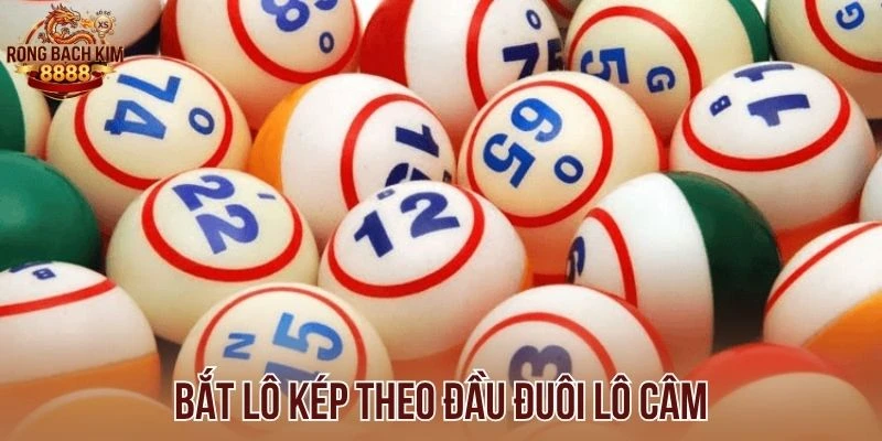 Bắt lô kép theo đầu đuôi lô câm