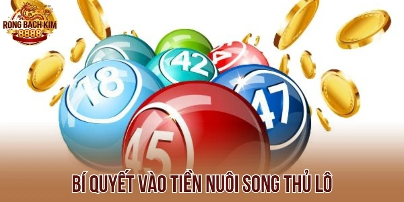 Bí quyết vào tiền nuôi song thủ lô