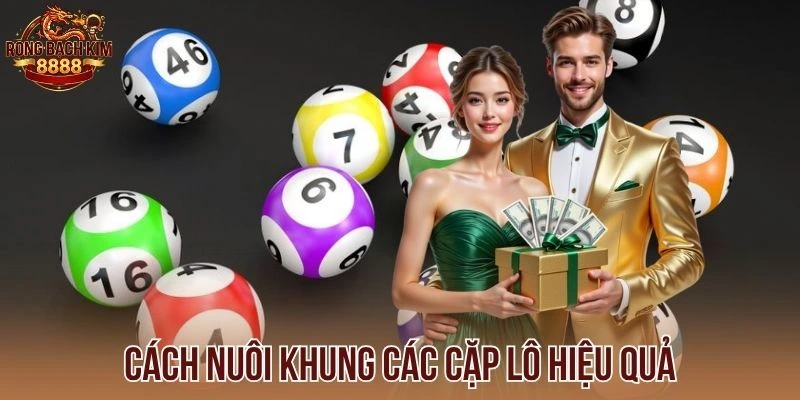 Cách nuôi khung các cặp lô hiệu quả