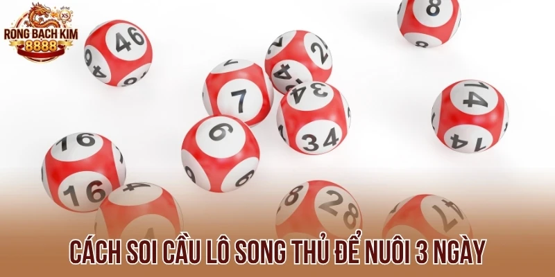 Cách soi cầu lô song thủ để nuôi 3 ngày