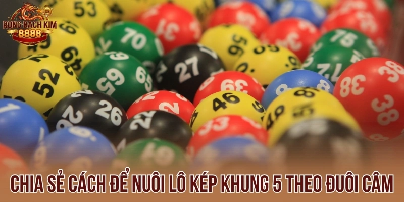 Chia sẻ cách để nuôi lô kép khung 5 theo đuôi câm