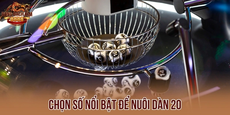 Chọn số nổi bật để nuôi dàn 20