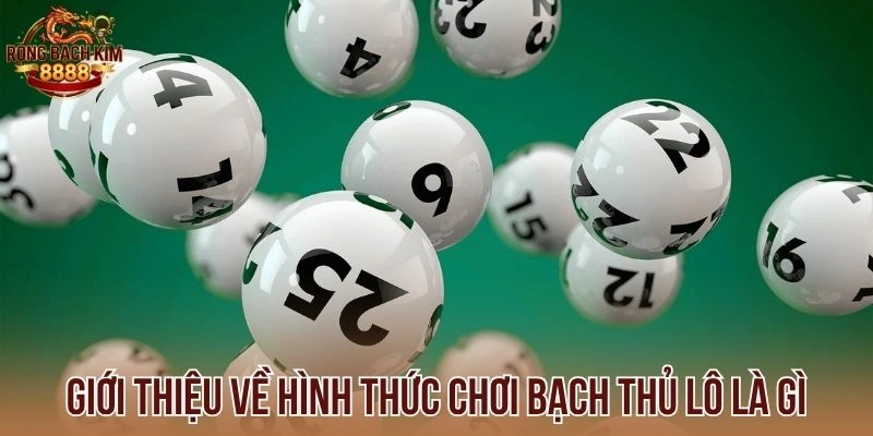 Giới thiệu về hình thức chơi bạch thủ lô là gì