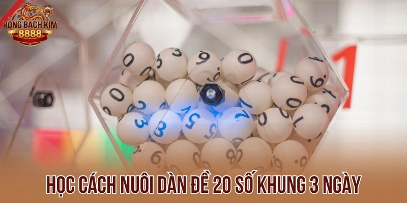 Học cách nuôi dàn đề 20 số khung 3 ngày