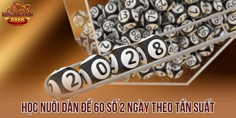 Học nuôi dàn đề 60 số 2 ngày theo tần suất