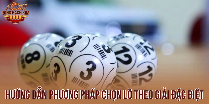 Hướng dẫn phương pháp chọn lô theo giải đặc biệt