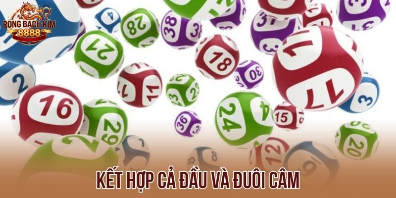 Kết hợp cả đầu và đuôi câm