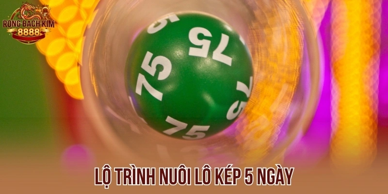Lộ trình nuôi lô kép 5 ngày