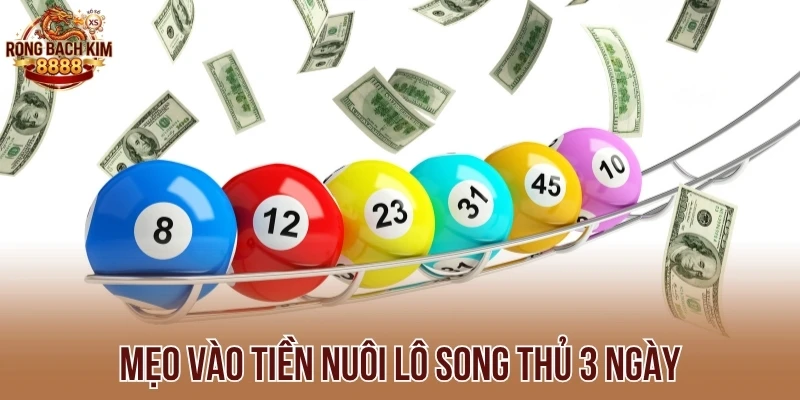 Mẹo vào tiền nuôi lô song thủ 3 ngày