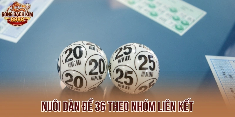 Nuôi dàn đề 36 theo nhóm liên kết