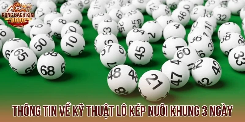Thông tin về kỹ thuật lô kép nuôi khung 3 ngày