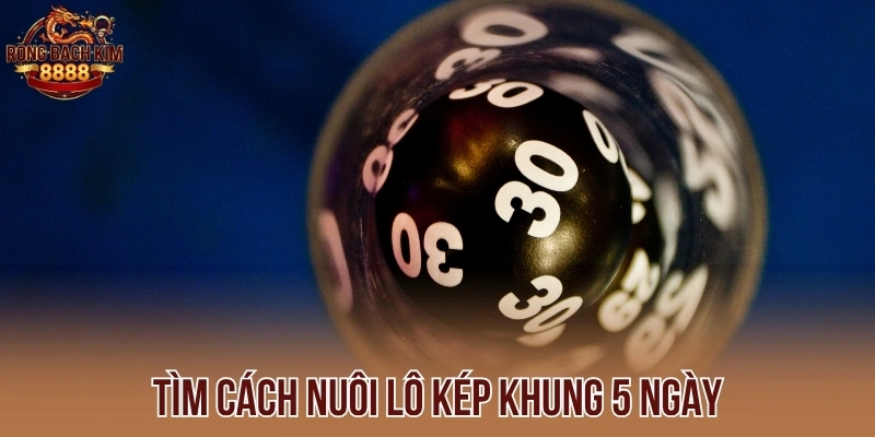 Tường tận  nuôi lô kép khung 5 ngày