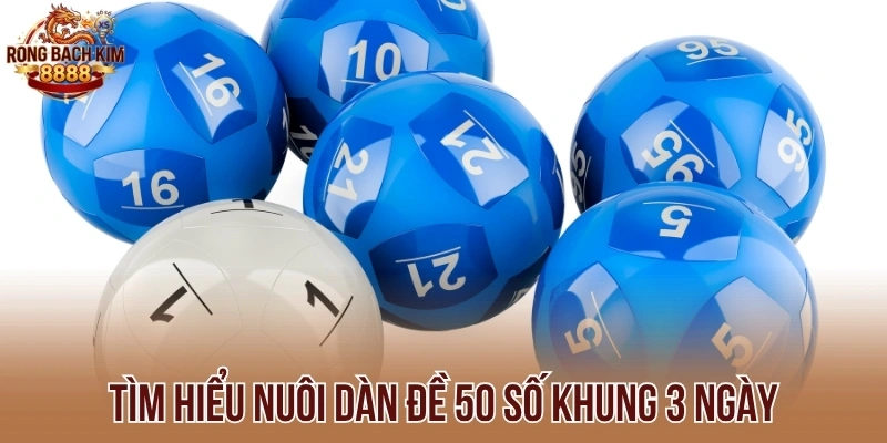 Tìm hiểu nuôi dàn đề 50 số khung 3 ngày