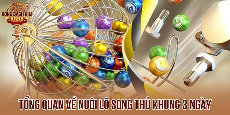 Tổng quan về nuôi lô song thủ khung 3 ngày