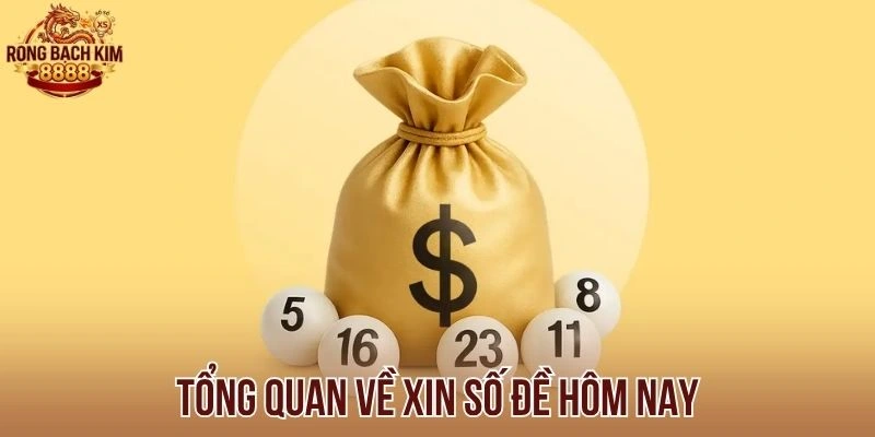 Tổng quan về xin số đề hôm nay