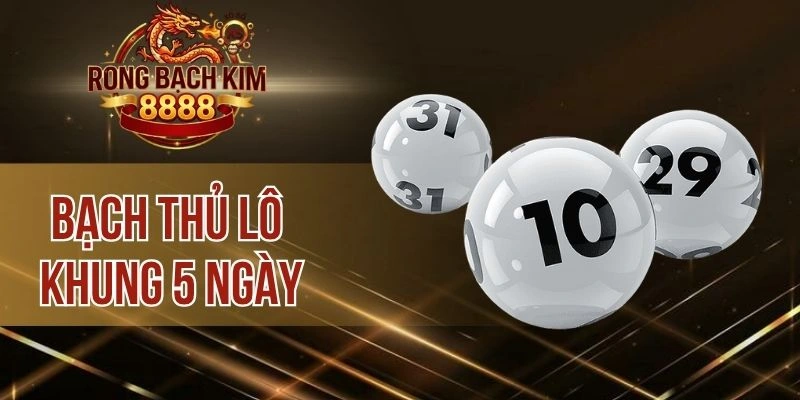 Bạch Thủ Lô Khung 5 Ngày – Bí Kíp Đổi Đời Sau 1 Đêm
