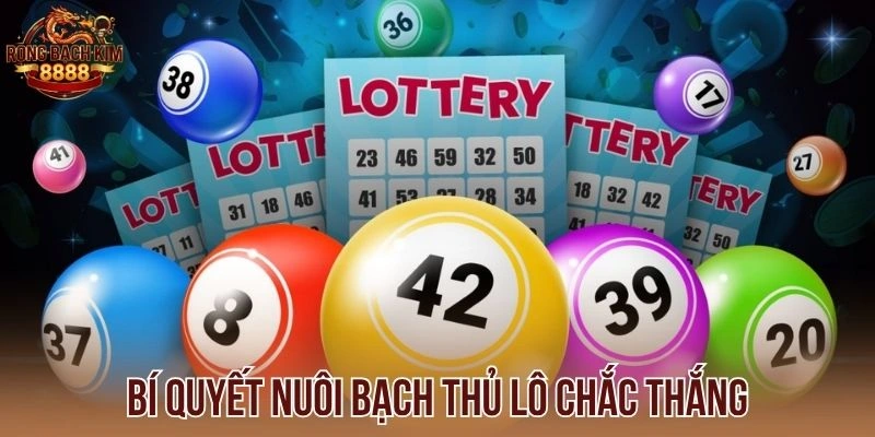 Bí quyết nuôi bạch thủ lô chắc thắng