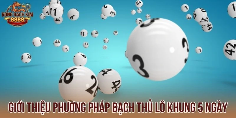Giới thiệu phương pháp bạch thủ lô khung 5 ngày