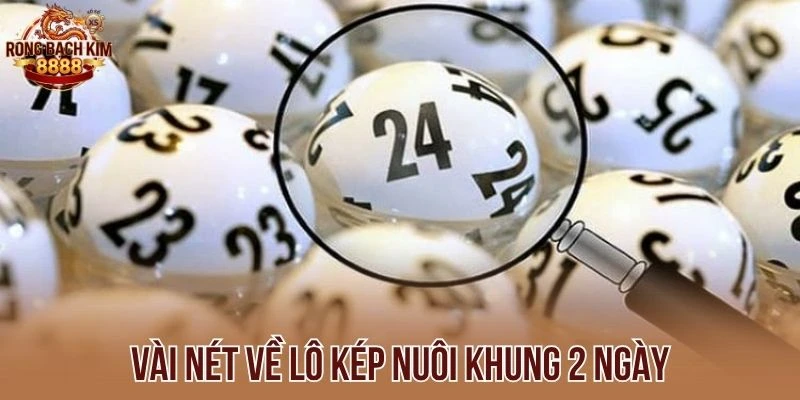 Vài nét về lô kép nuôi khung 2 ngày