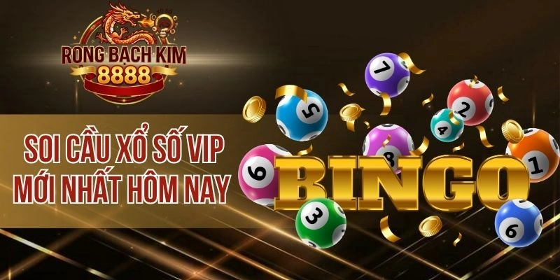 Soi Cầu Xổ Số Vip Mới Nhất Hôm Nay – Dự Đoán Số Chắc Chắn Về
