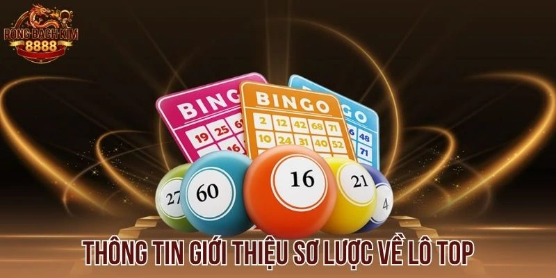 Thông tin giới thiệu sơ lược về lô top
