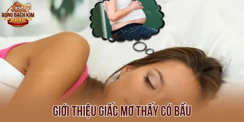 Giới thiệu giấc mơ thấy có bầu